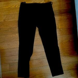 Th Limited Velvet Pants
